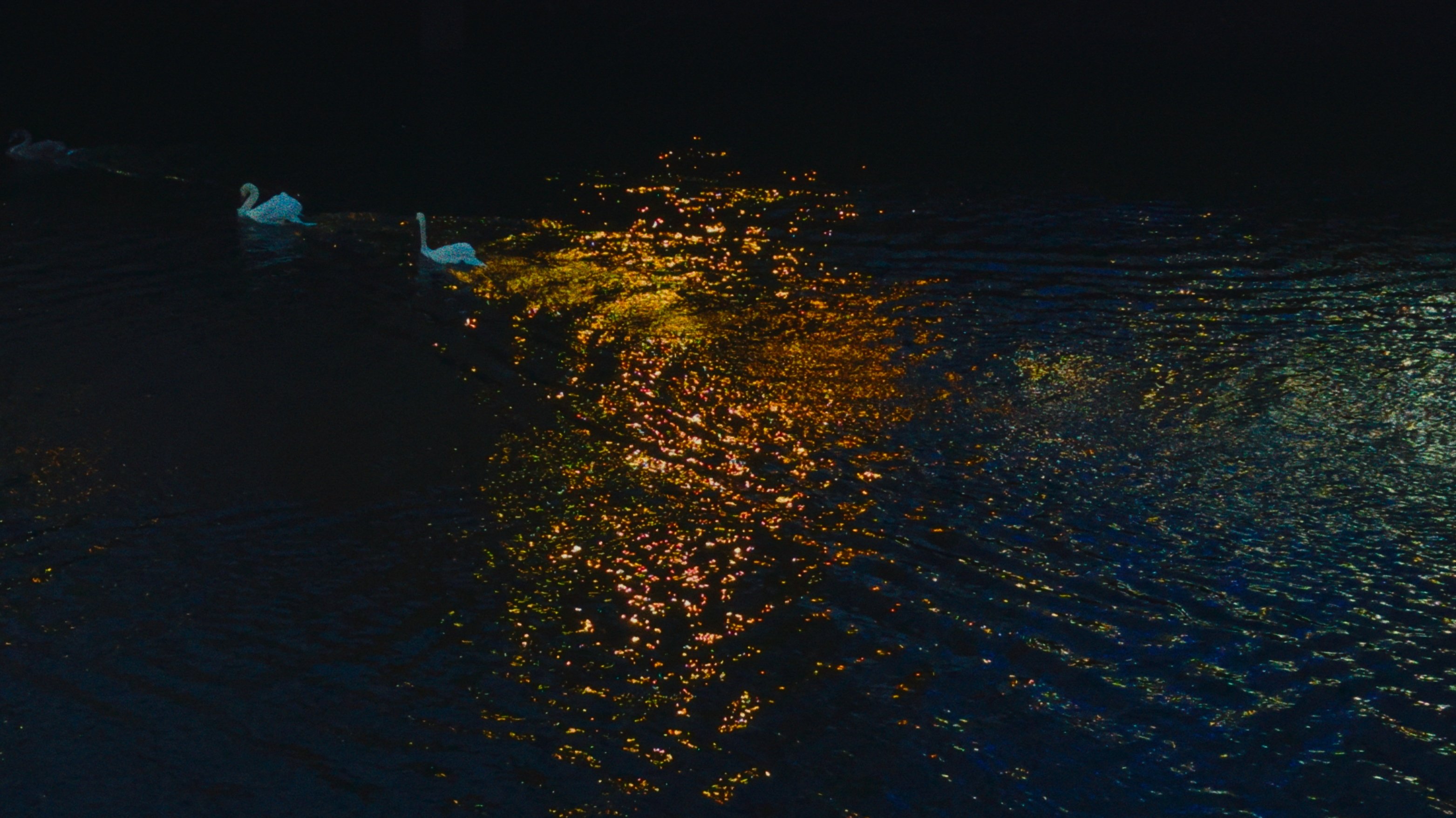 Delicacy (2025)