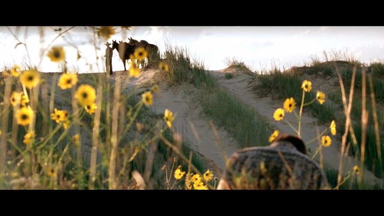 The Three Burials of Melquiades Estrada (2005)
