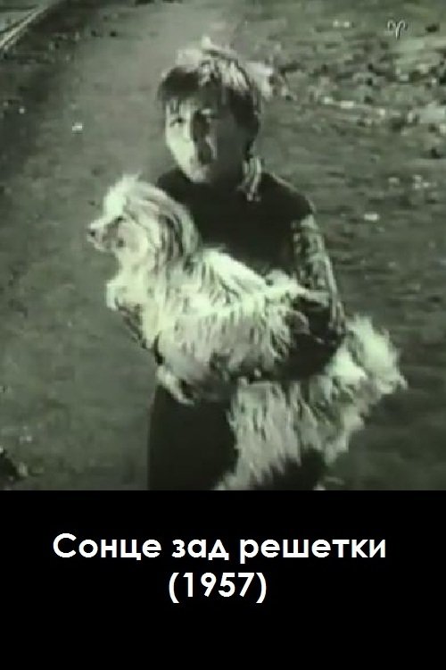 Сонце зад решетки Сонце зад решетки