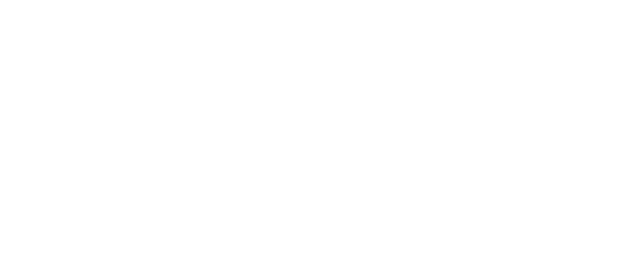 The International