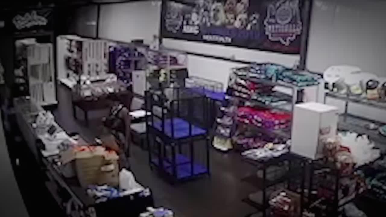 I Survived a Crime