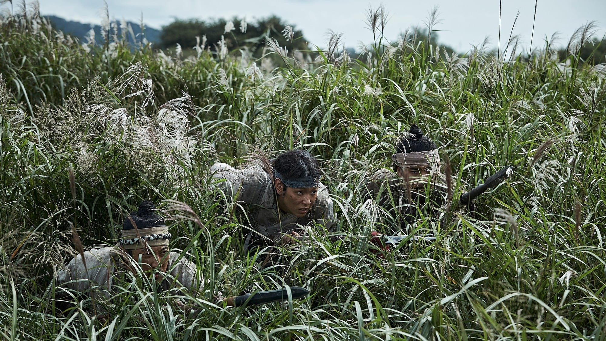 대립군