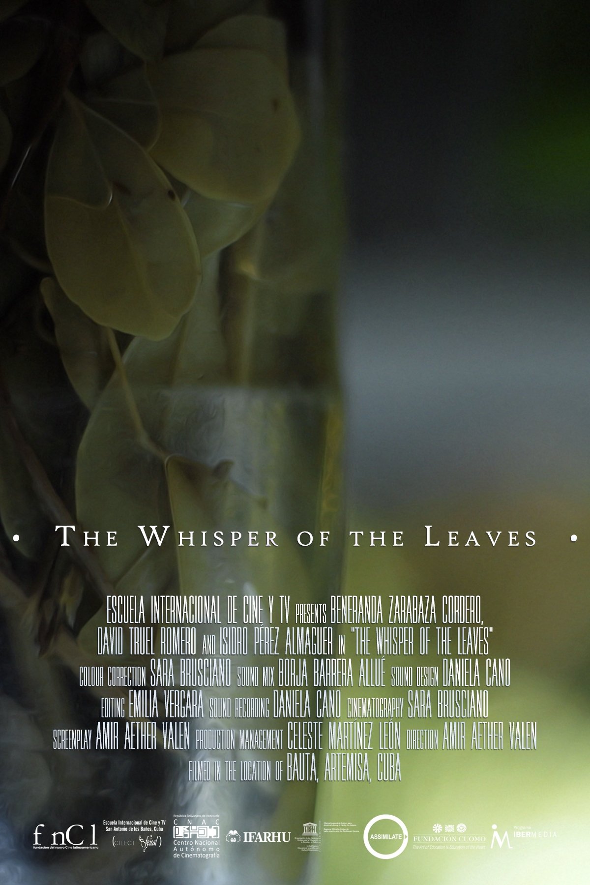 The Whisper of the Leaves