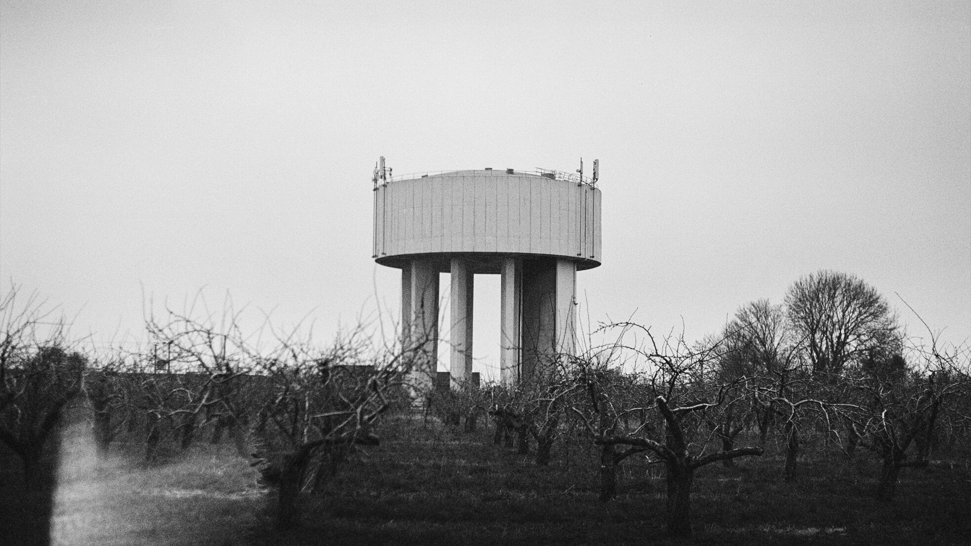 Terraforms Backdrop Blur