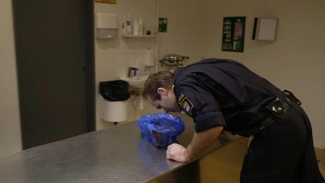Border Control: Sweden