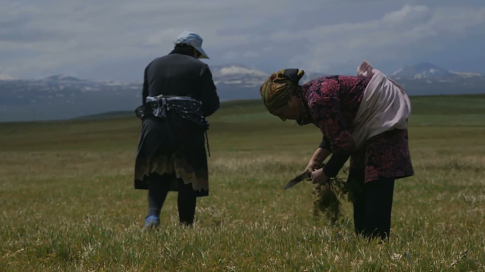 Village of Women (2019)