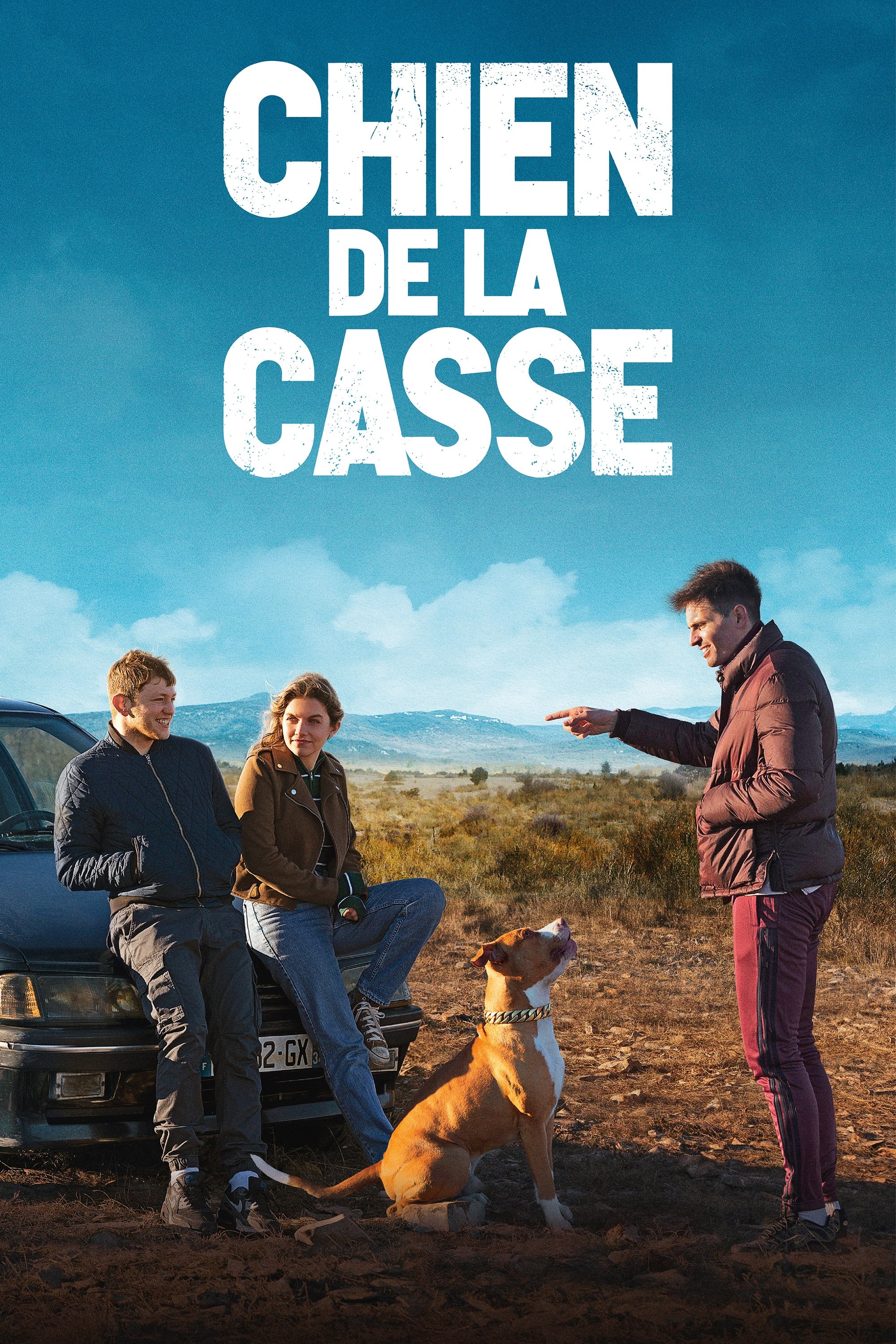 Chien de la casse
