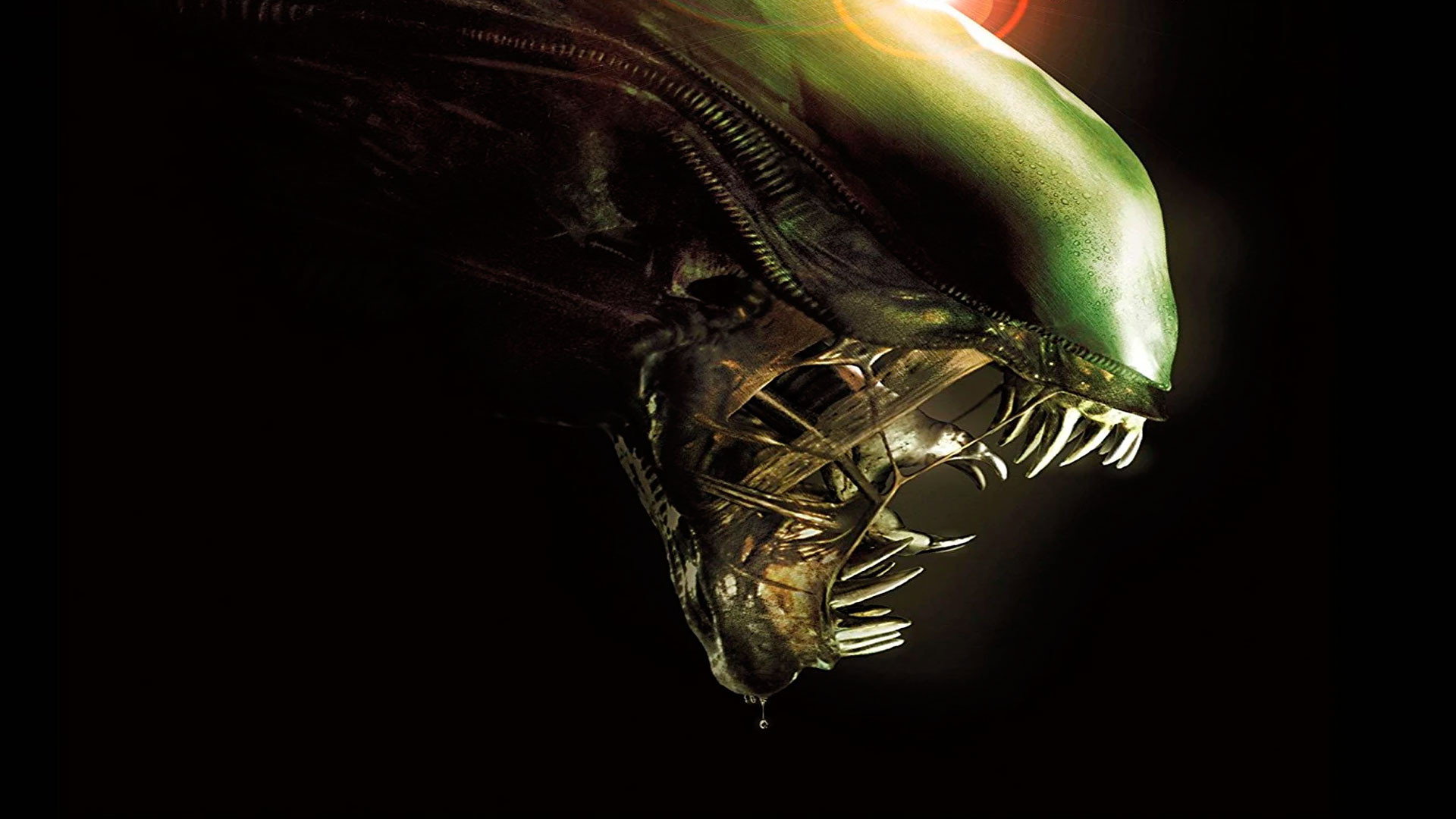 The Alien Anthology Archives