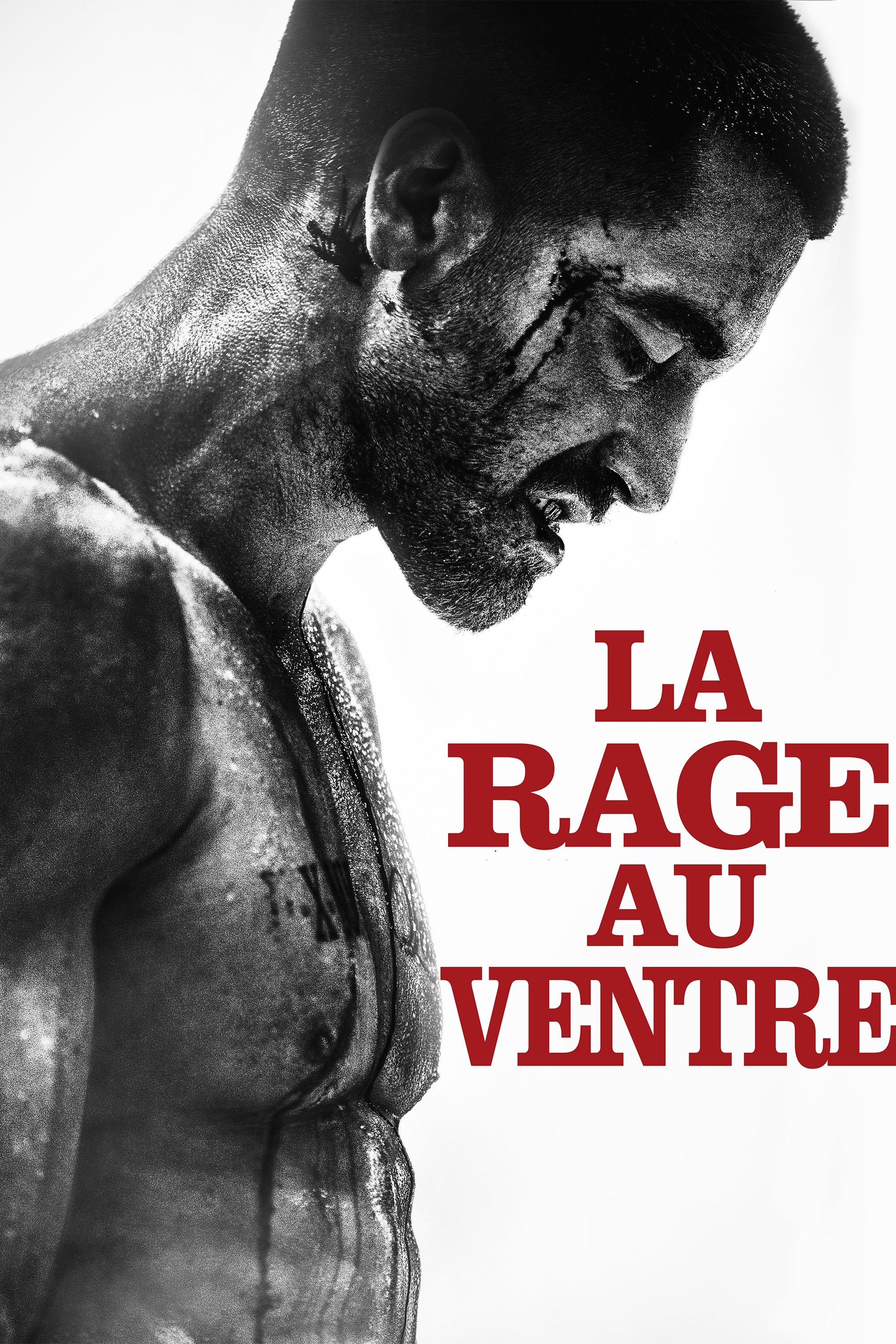 LA RAGE AU VENTRE