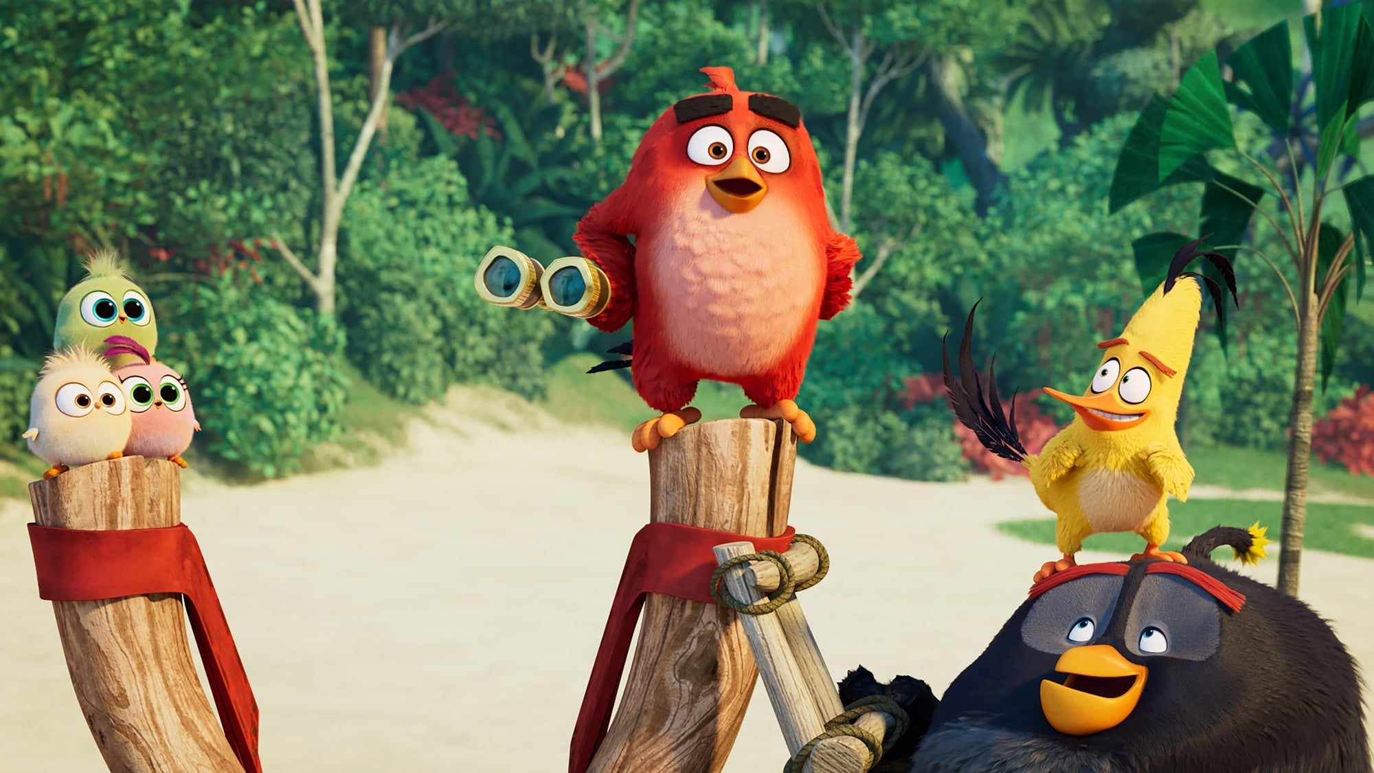 Image du film Angry Birds : copains comme cochons 5jrudgw4cafginqoaafxdzd7yqzjpg