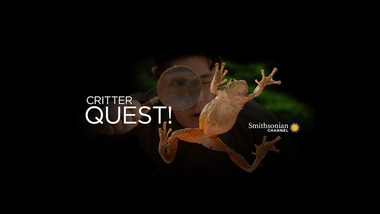 Critter Quest poster