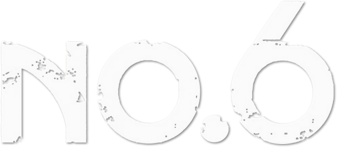 NO.6