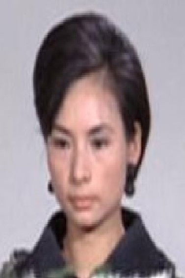 et billede af Fu Yen