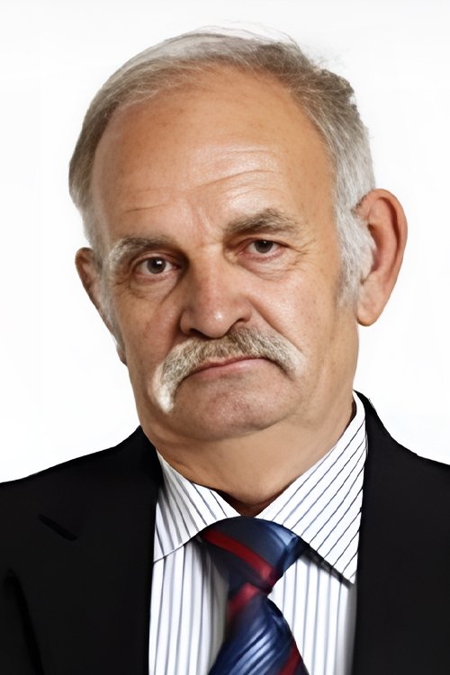 et billede af Ali Demirel