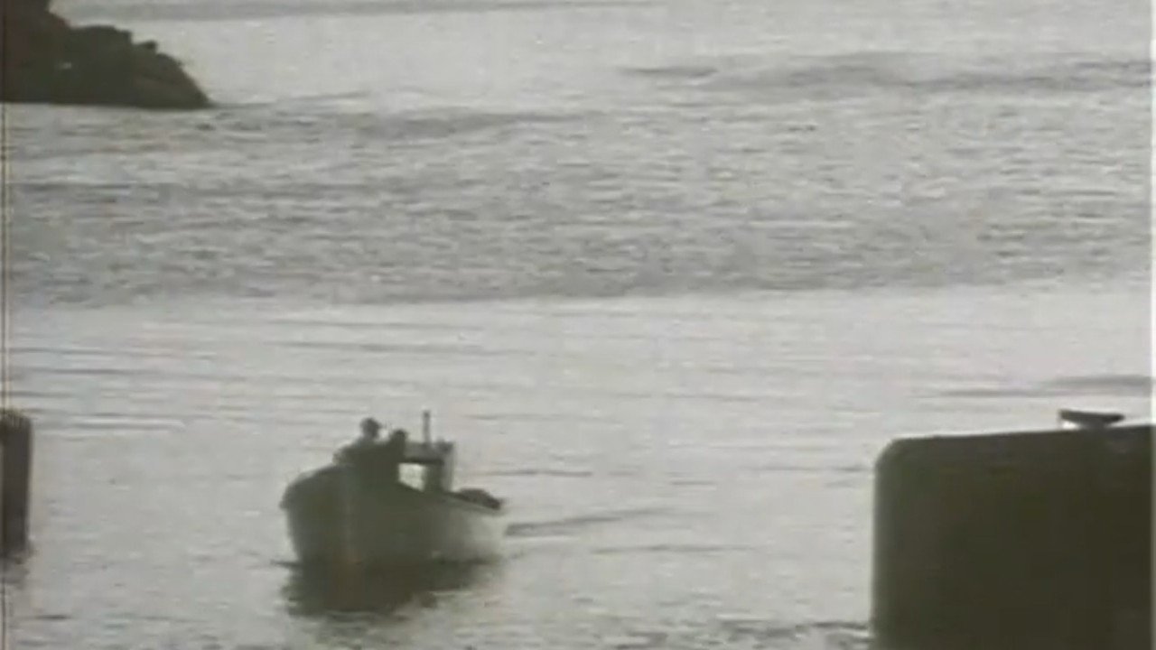 Fish or Cut Bait (1993)