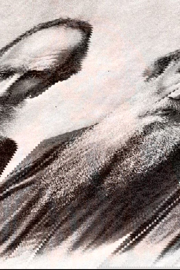 et billede af Leo Tolstoy