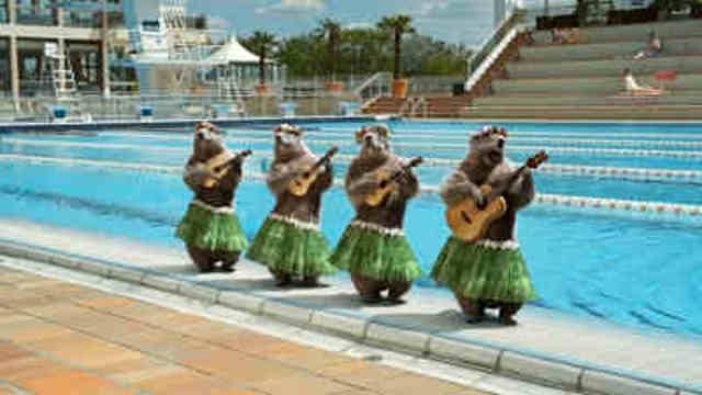 Les Marmottes - Vahinés
