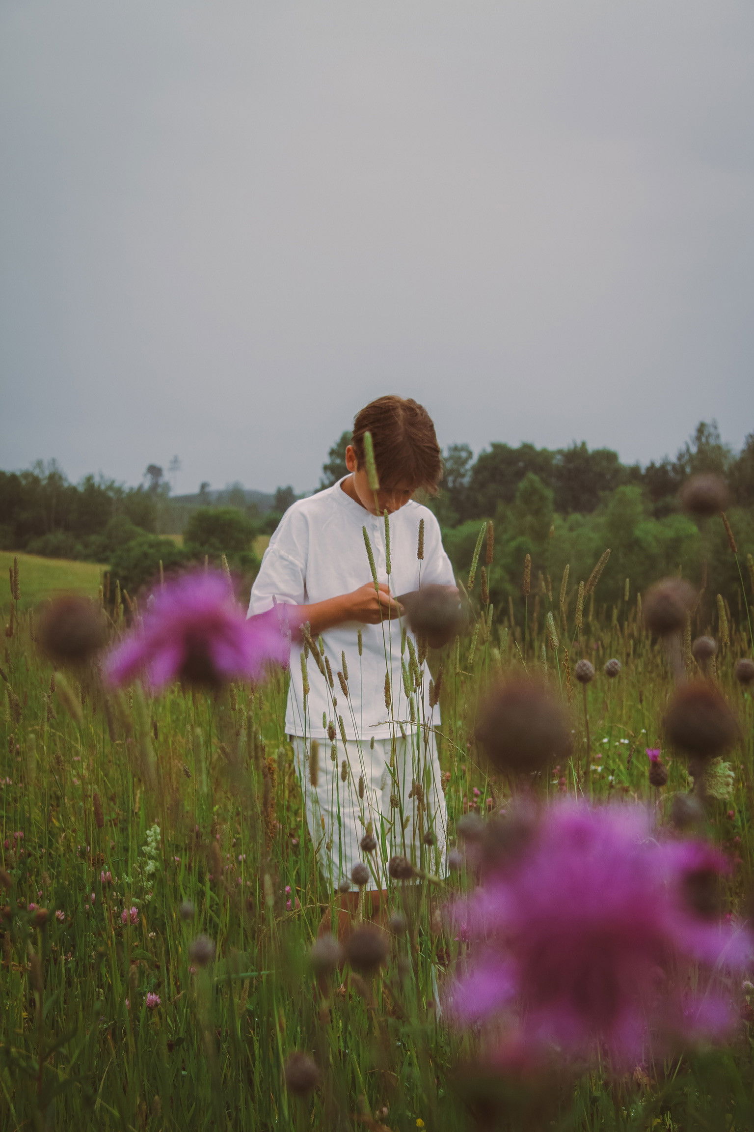 et billede af Gusts Lankovskis