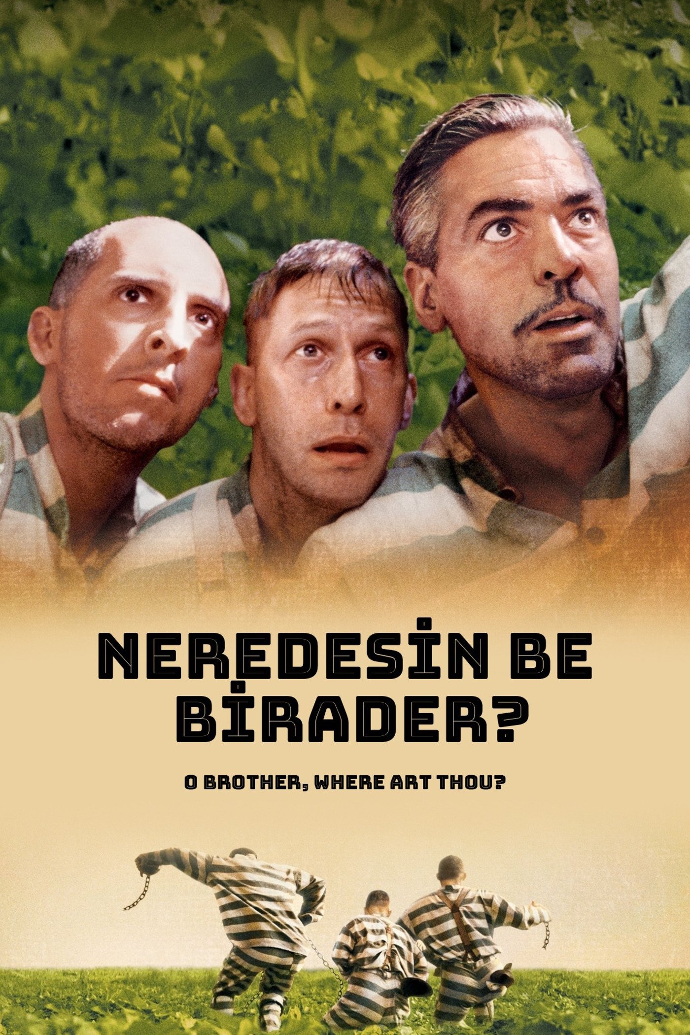 O Brother, Where Art Thou?