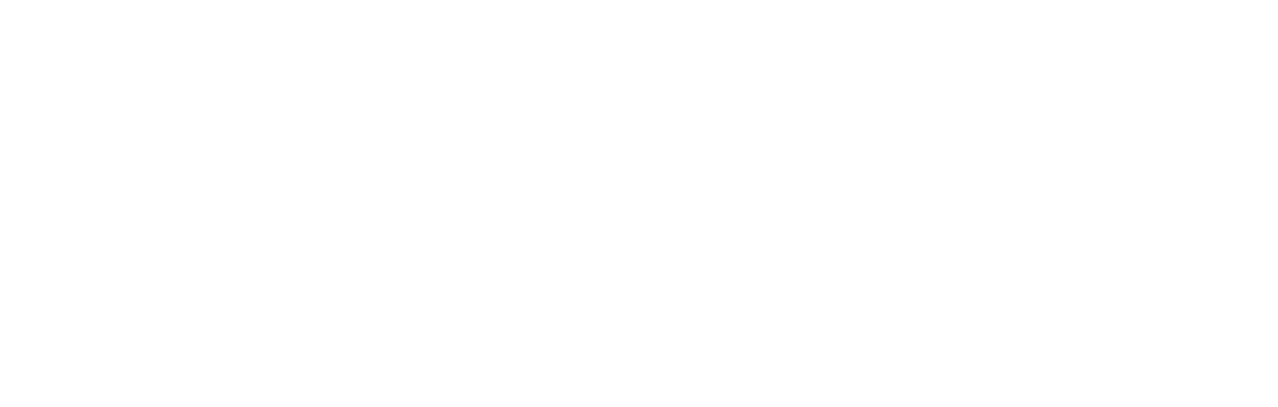 Martial Arts of Shaolin Logo
