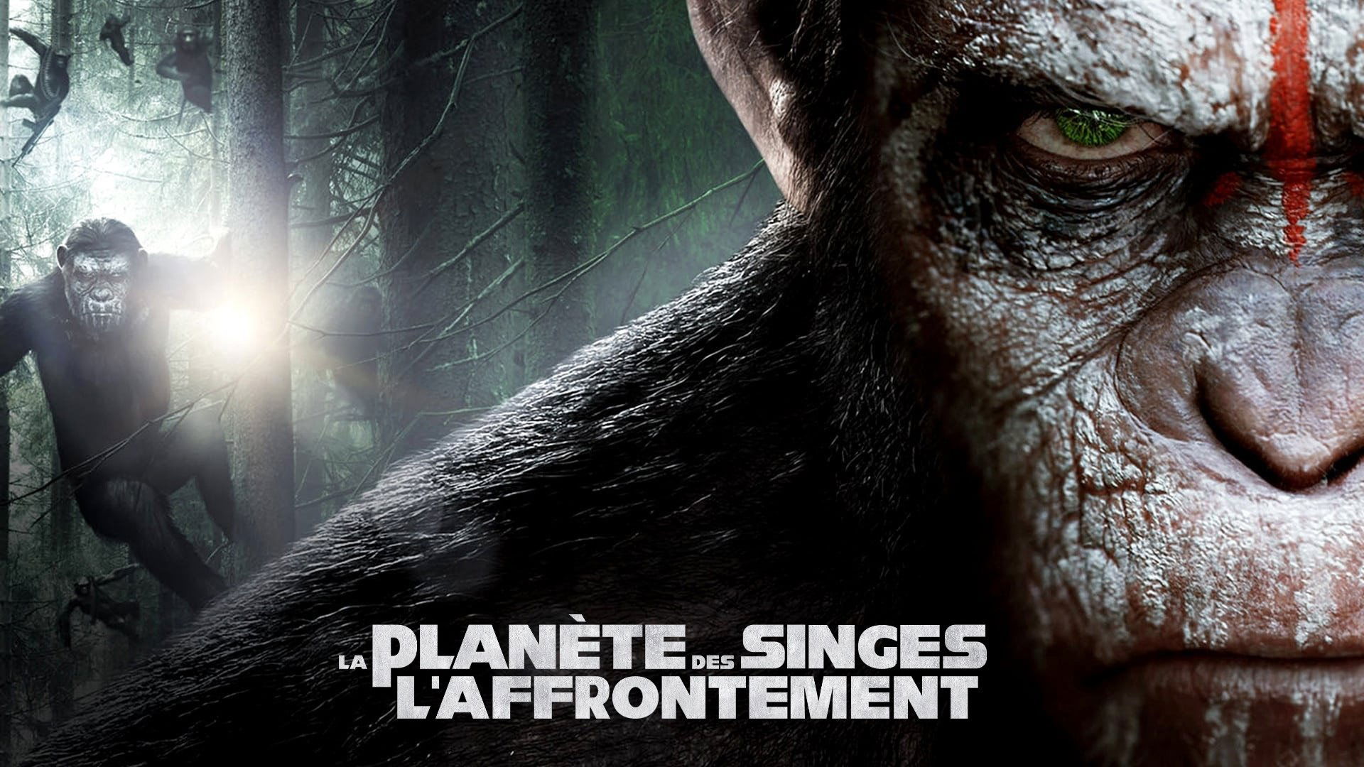 Image du film La Planète des singes : l'affrontement 5mzicydr5hu7kdxpiqct3swjhnujpg