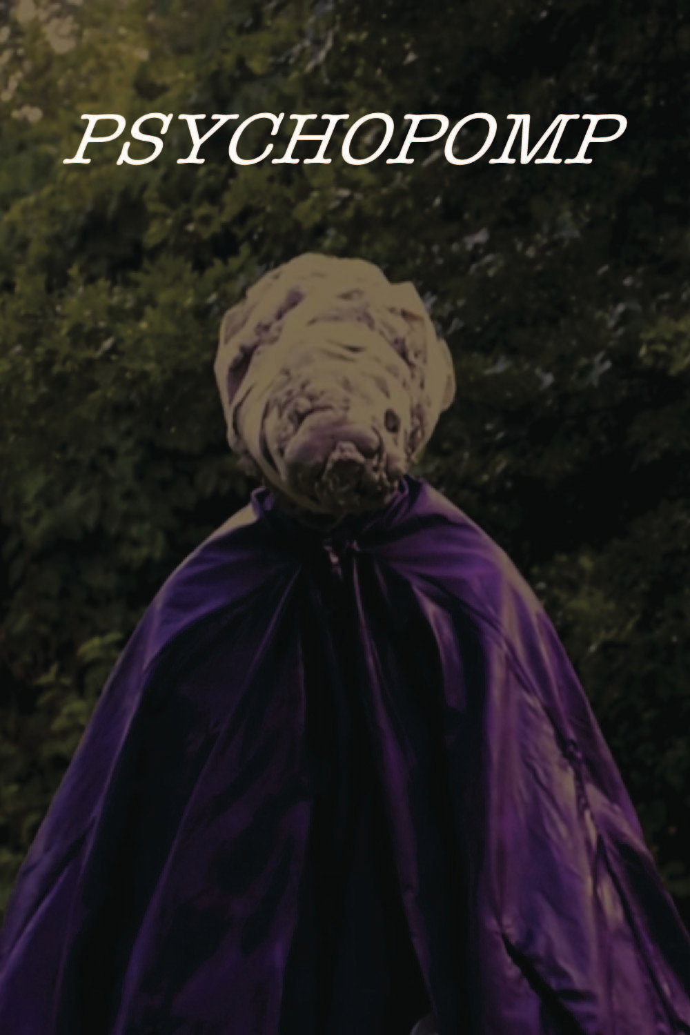 Psychopomp