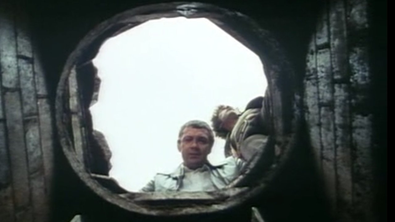 The Professionals
