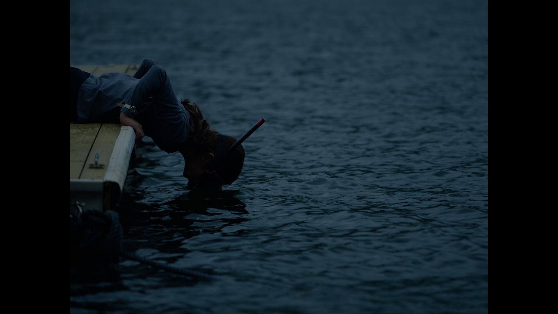 Snorkel (2019)