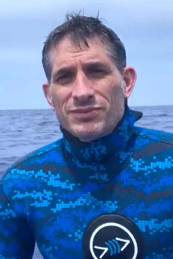 et billede af Yannis P. Papastamatiou