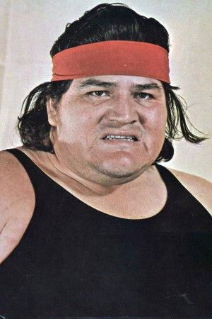 et billede af Bull Ramos