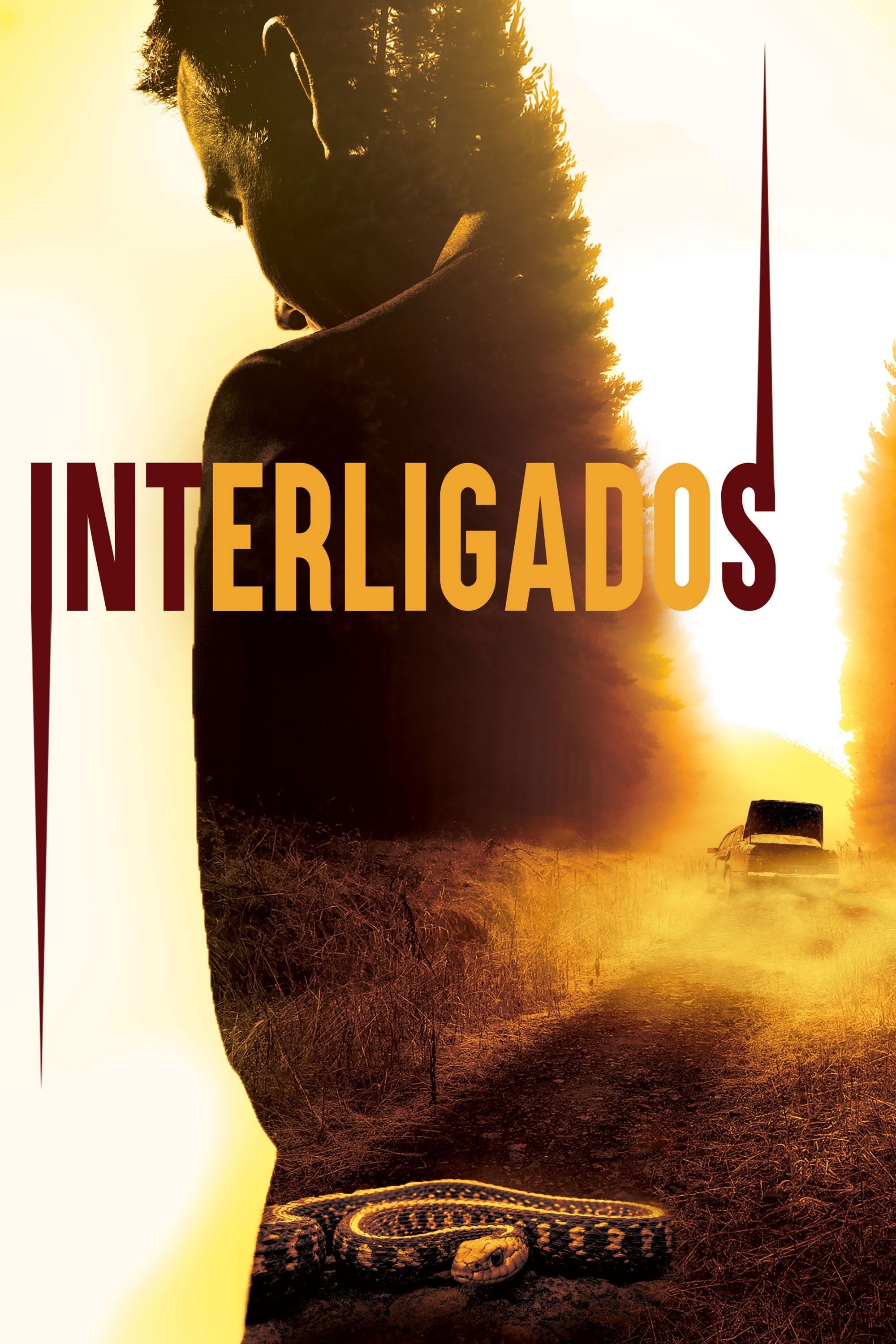 Capa do Filme 