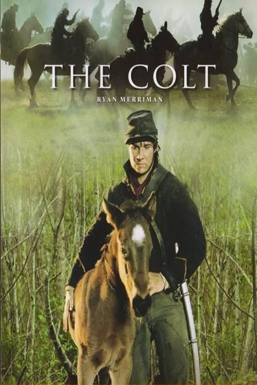 The Colt streaming
