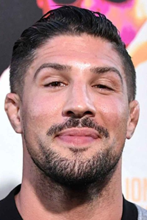 et billede af Brendan Schaub