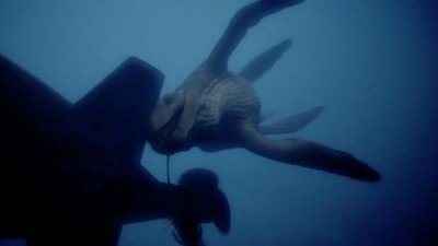 Primeval