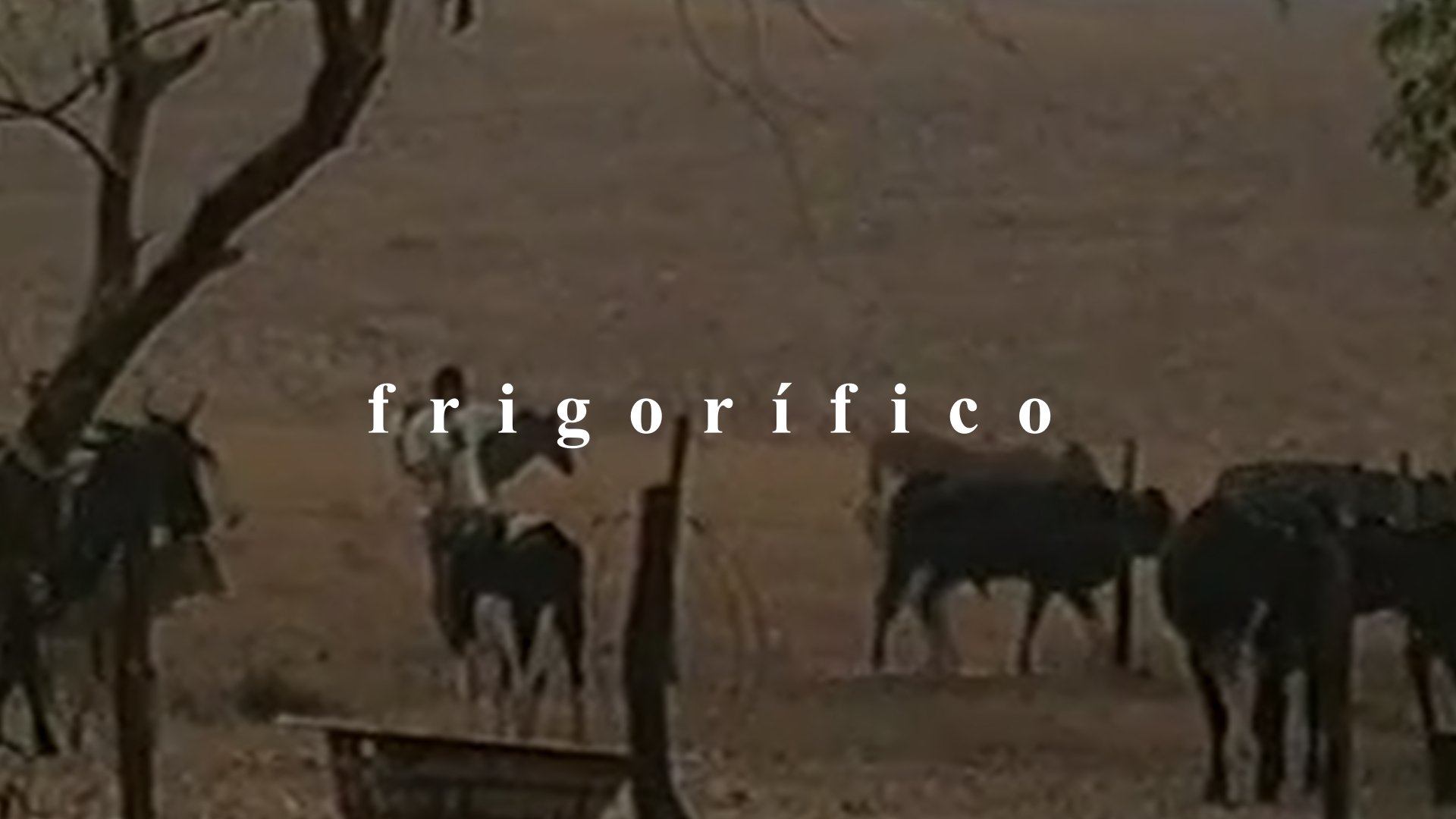 Frigorífico ()