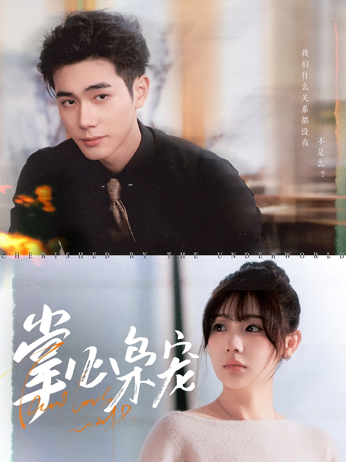 掌心枭宠 Poster