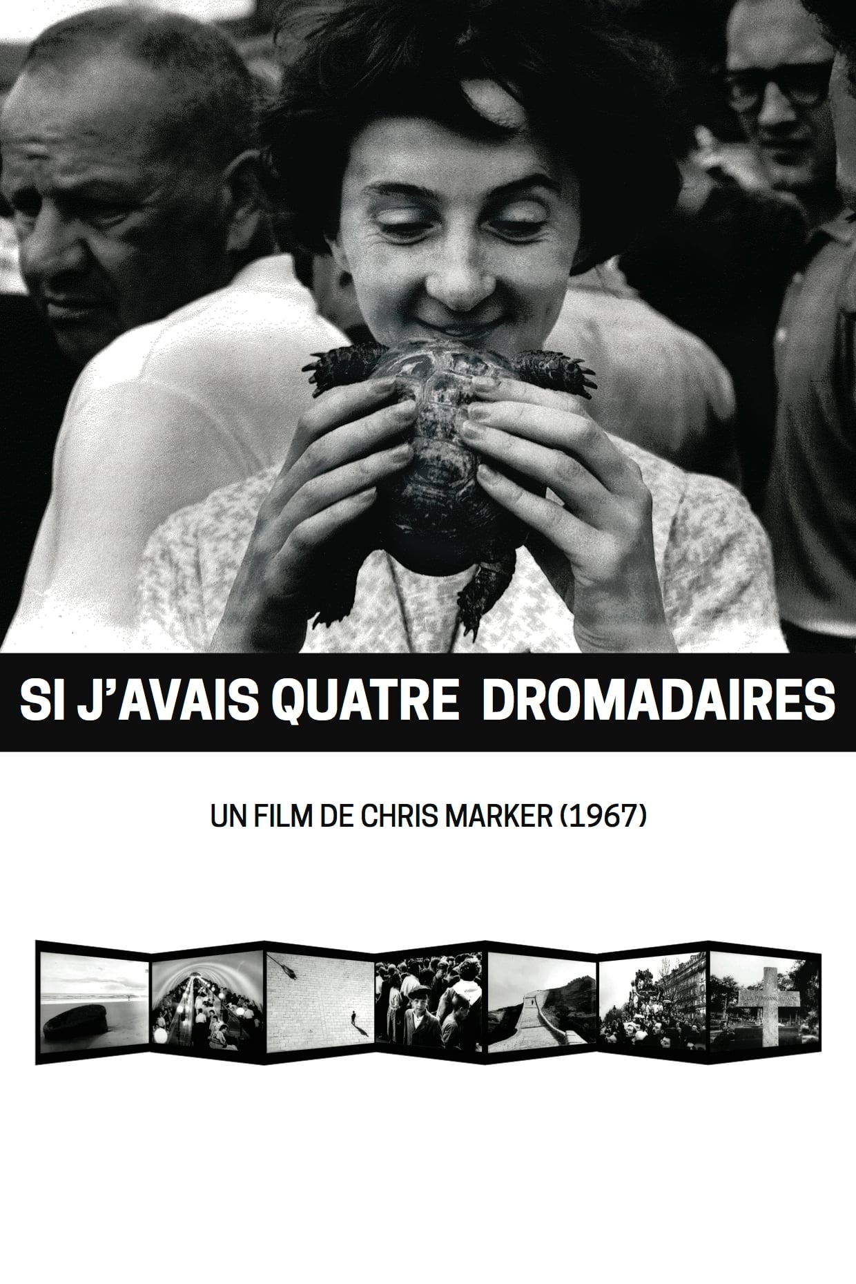 Affiche du film Si j'avais quatre dromadaires 28858