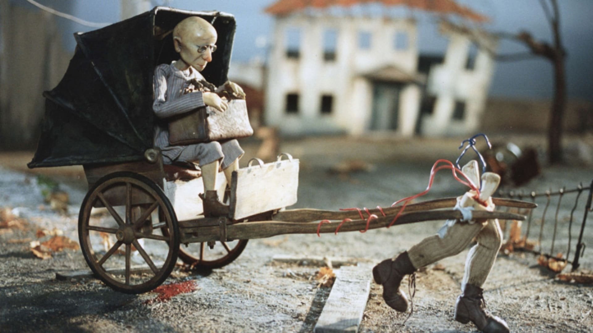 Maalaislääkäri (1996)