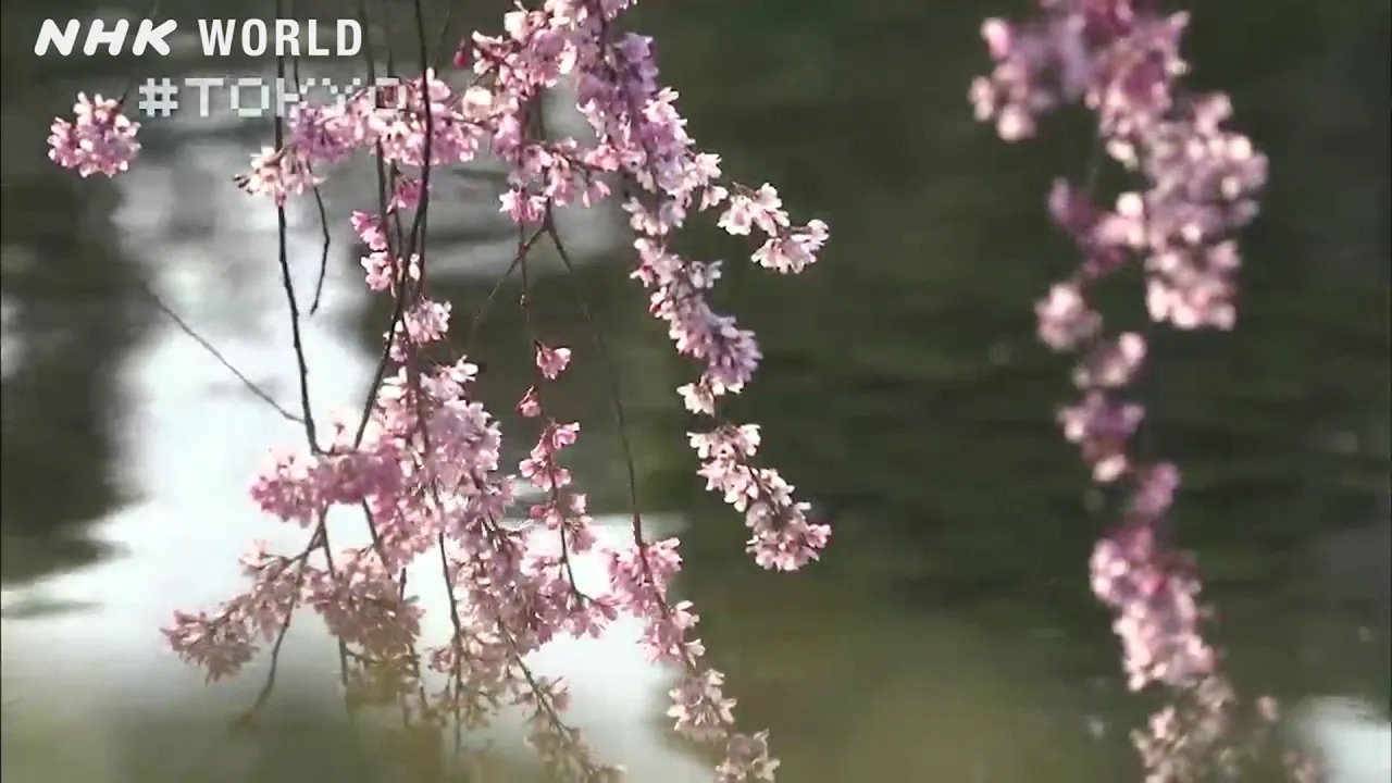 Thumbnail for Nature Coexisting with the City [#Gardens] Season 0 Episode 9