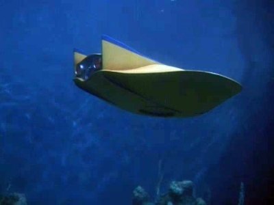 Voyage to the Bottom of the Sea