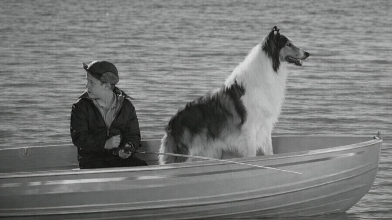 Lassie: Disappearance