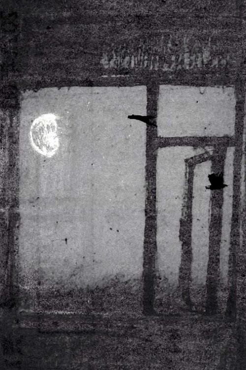 Out Beyond the Window