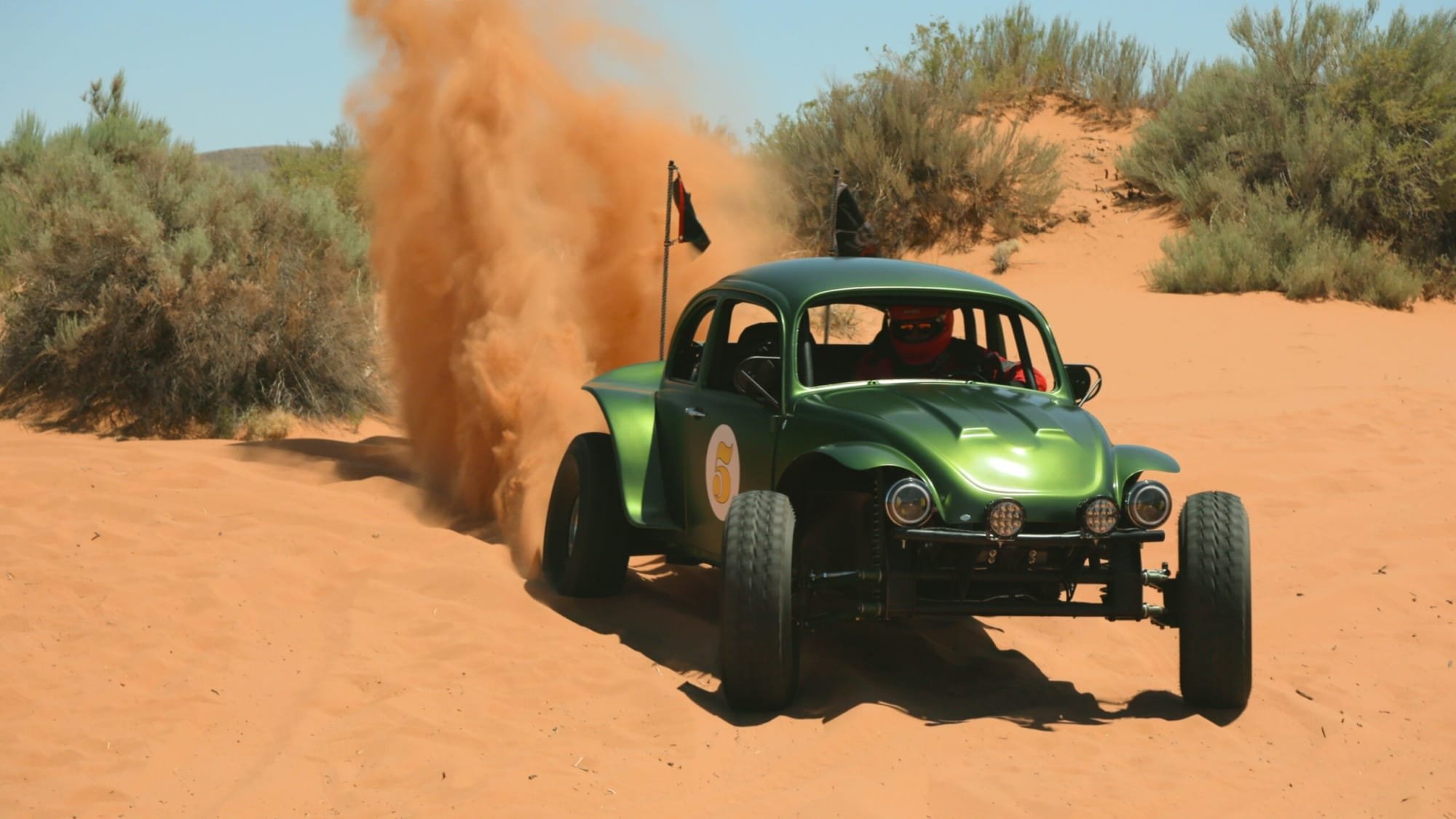 Tex Mex Motors