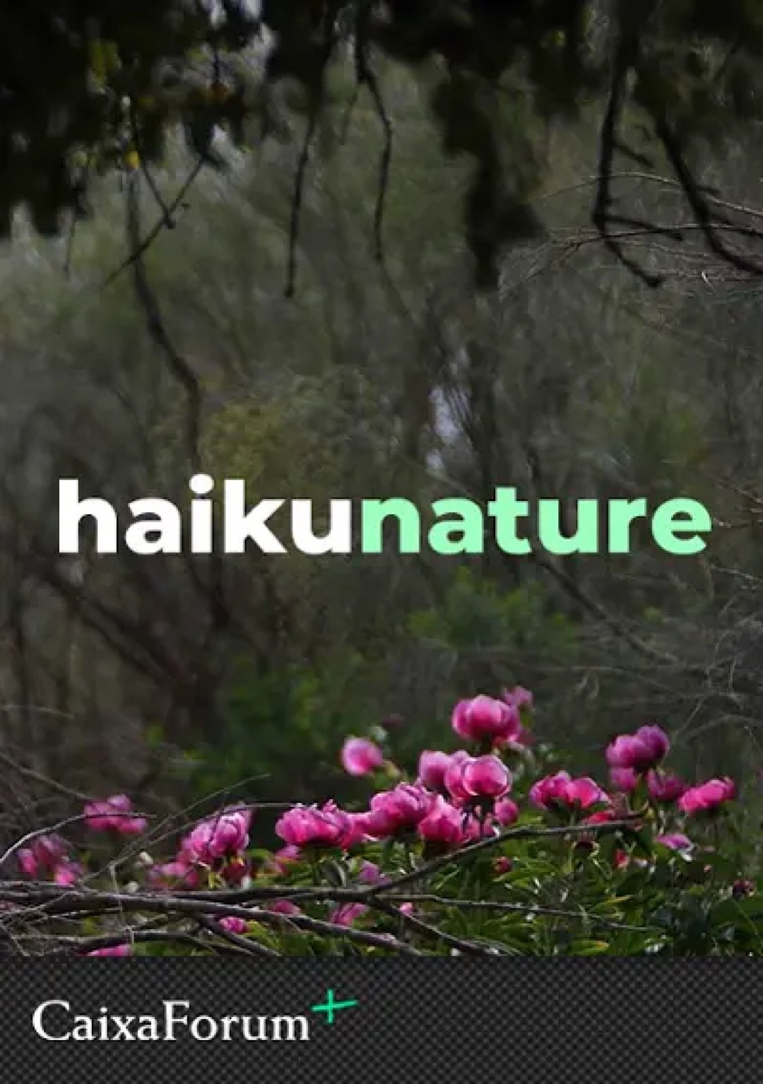 Haiku Nature (2022)