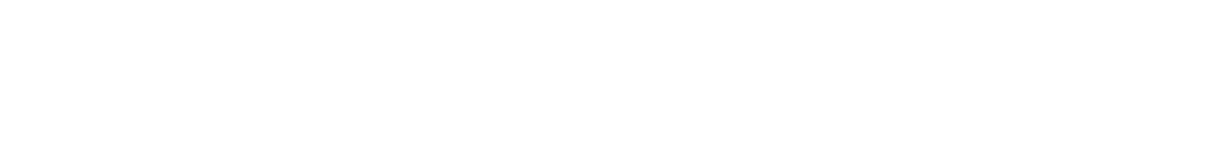 Birds of Passage Logo