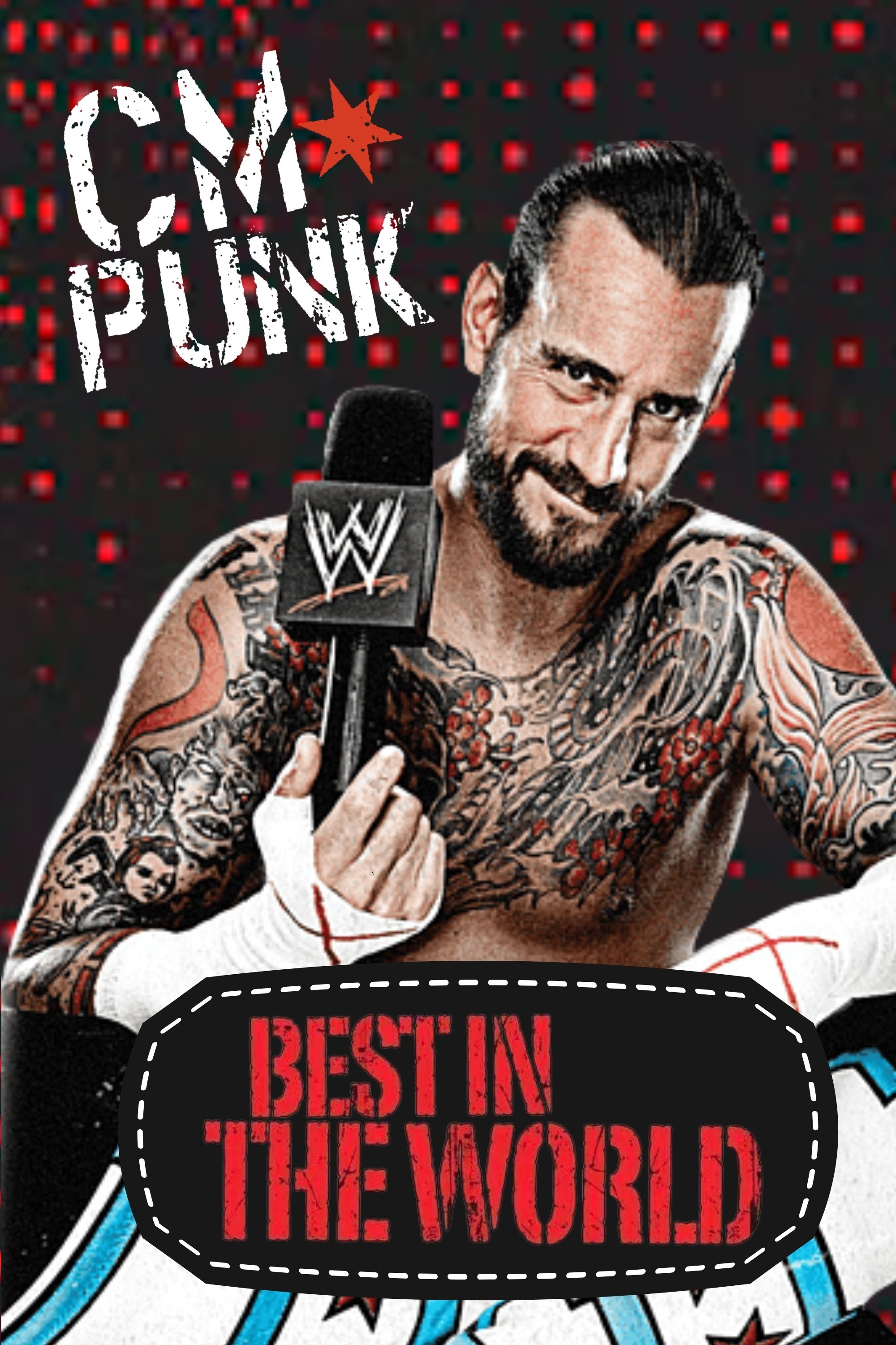 CM Punk: Best in the World