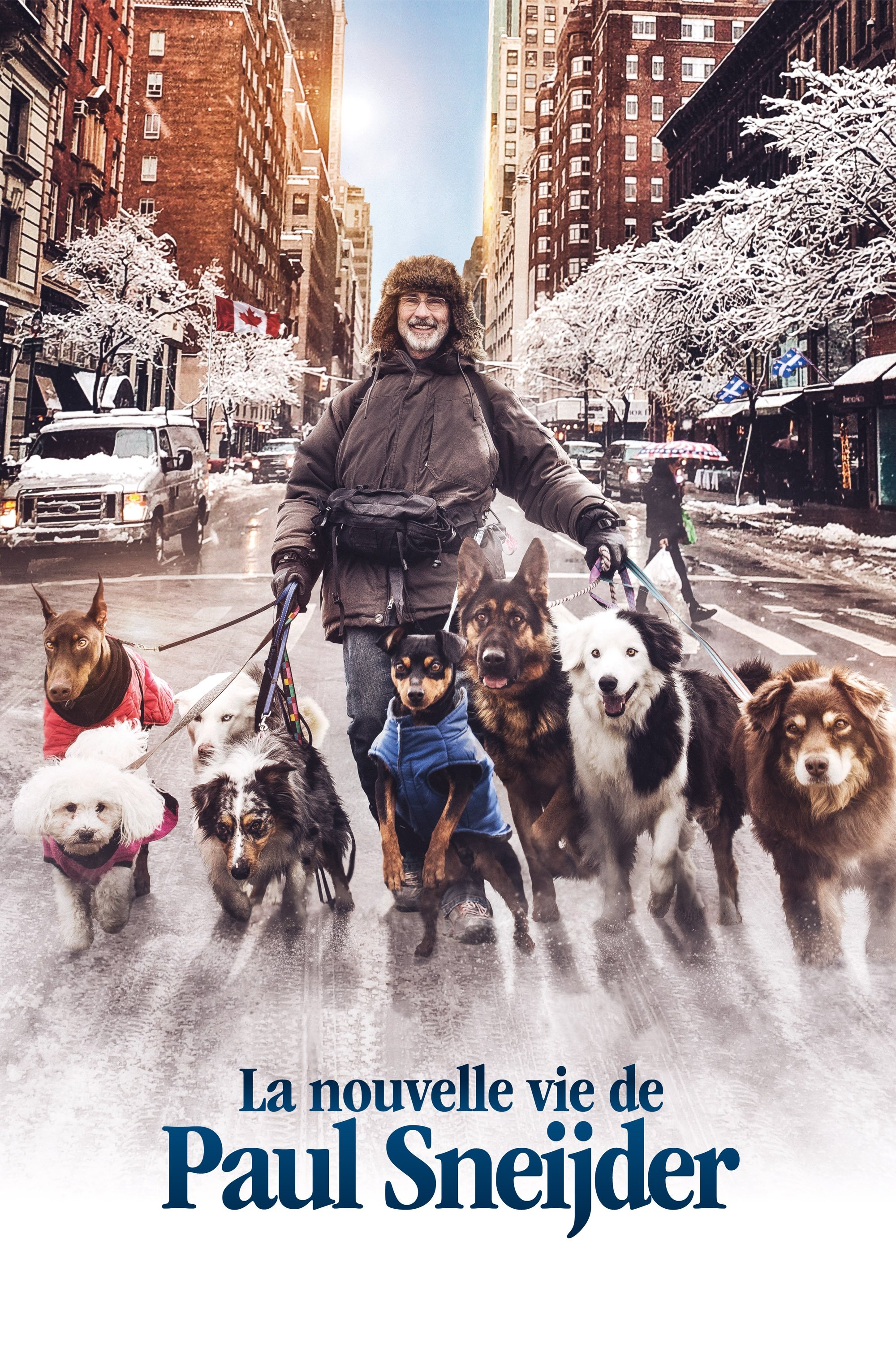 Affiche du film La Nouvelle Vie de Paul Sneijder 741