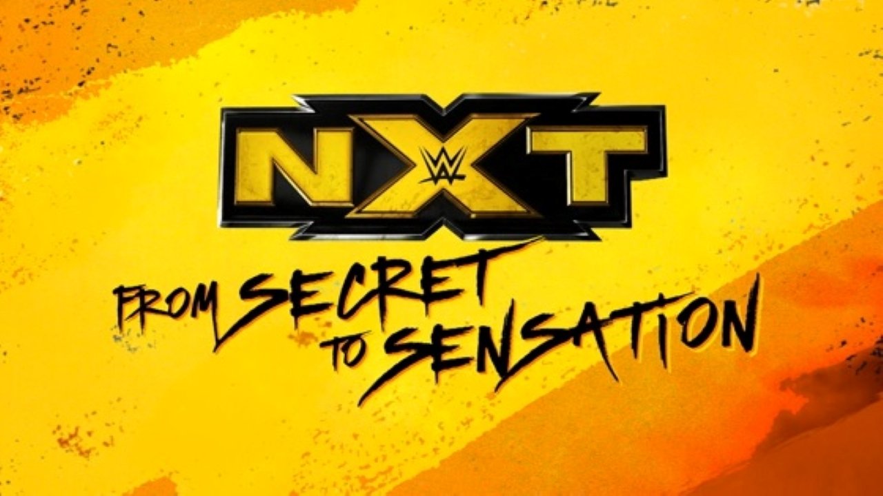 NXT: From Secret To Sensation (2017)