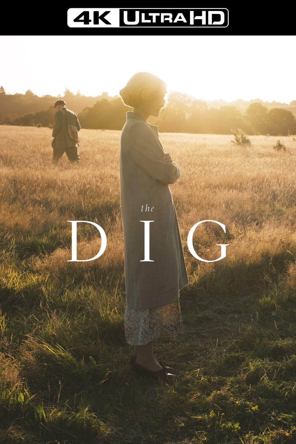 The Dig