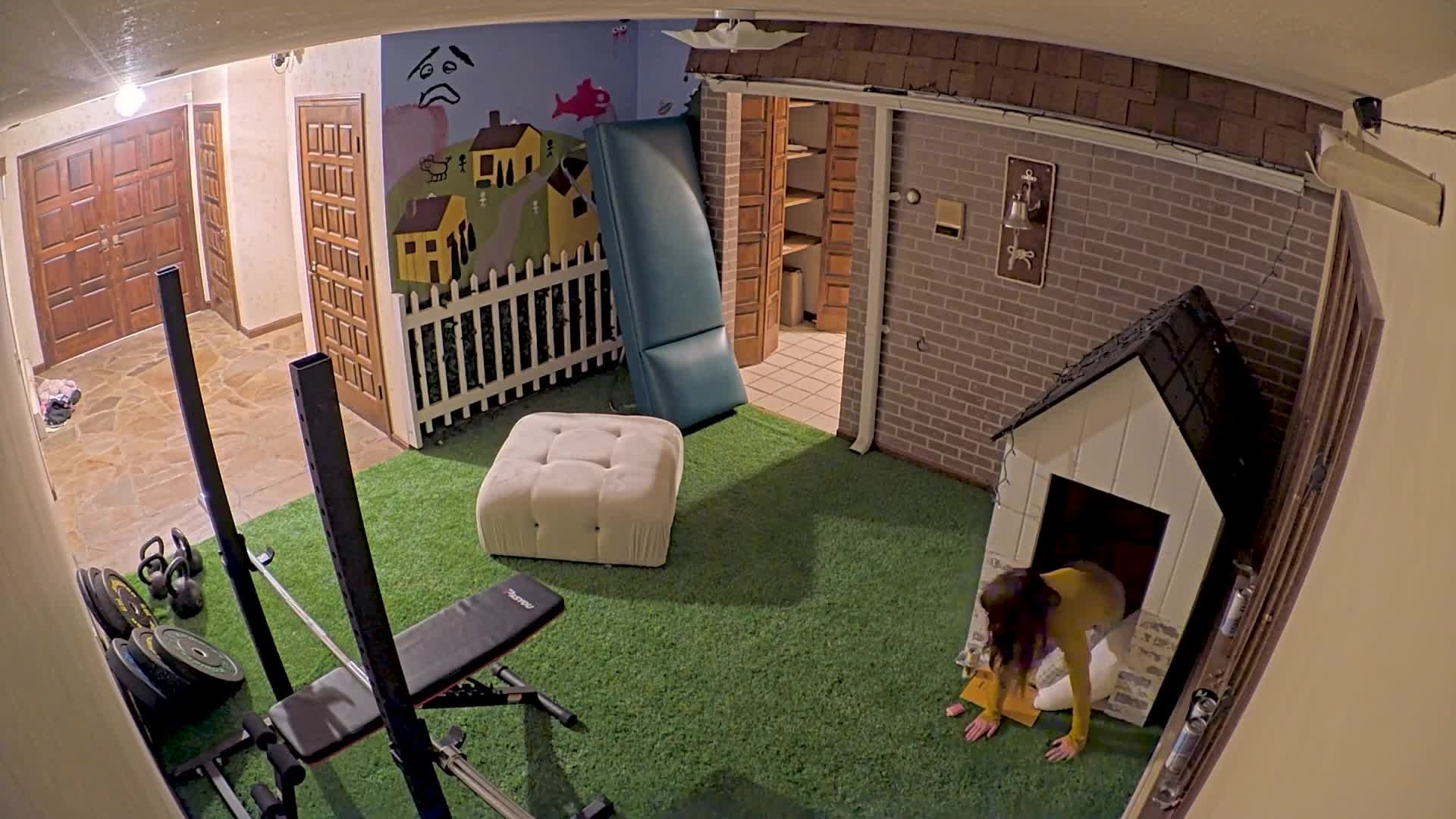 fishtank 0x17